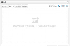 zblog后端配置项没有正常加载,上传插件不能正常使用