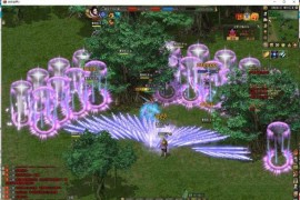 【剑侠世界2】单机版、带GM脚本、虚拟机版
