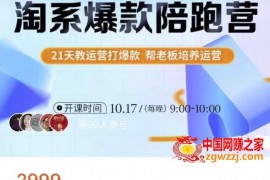 108将淘系爆款陪跑营【第九期】，从淘宝0开始，手把手教你链接起飞，爆款不断