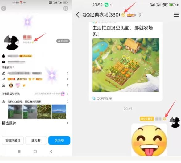 最新内测的QQ黄V认证教程